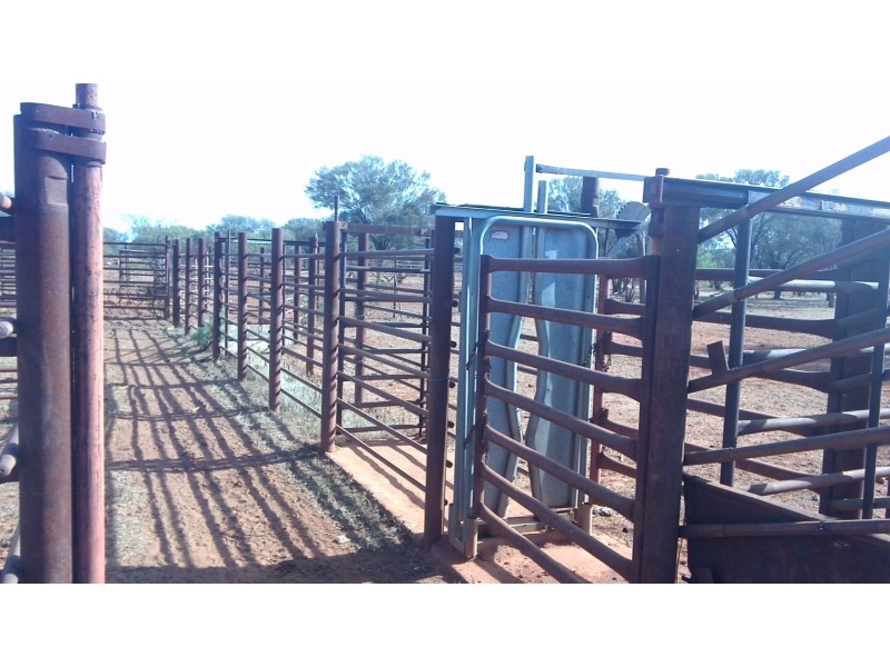 . ‘Erlistoun Station’, Laverton WA 6440
