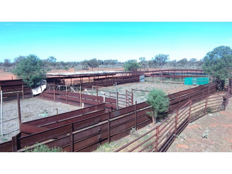 . ‘Erlistoun Station’, Laverton WA 6440