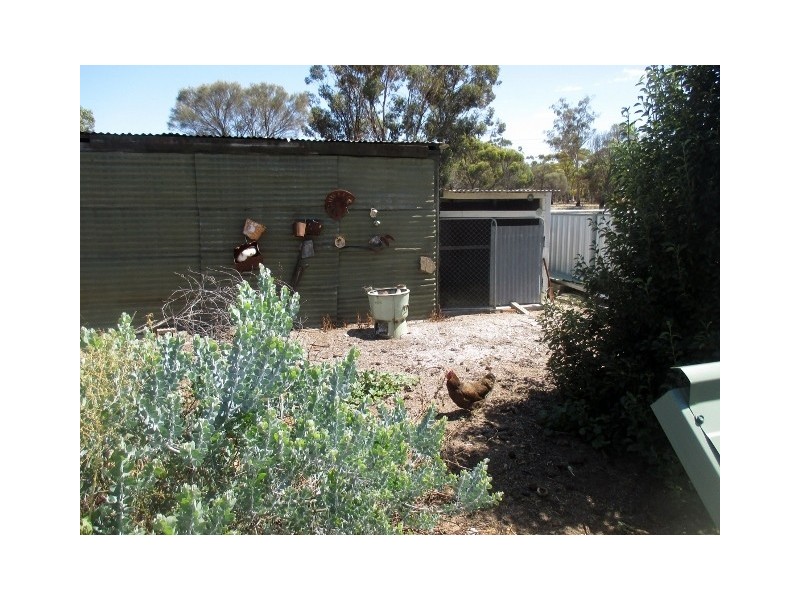 60 Upland Street, Wagin WA 6315