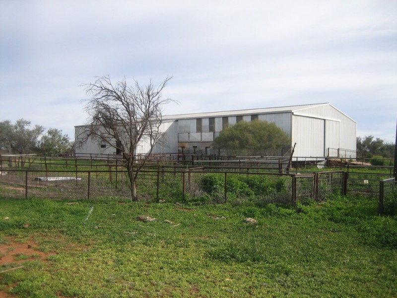 . ‘Bunnawarra Station’, Yalgoo WA 6635