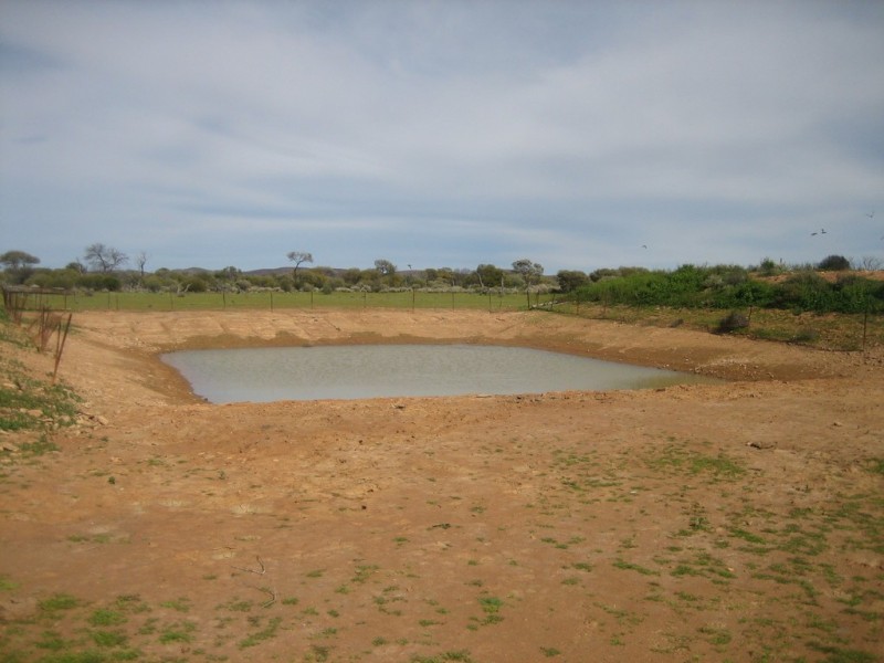 . ‘Bunnawarra Station’, Yalgoo WA 6635