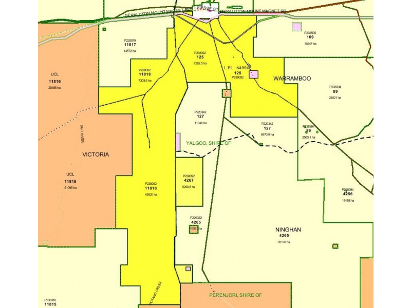 . ‘Bunnawarra Station’, Yalgoo WA 6635