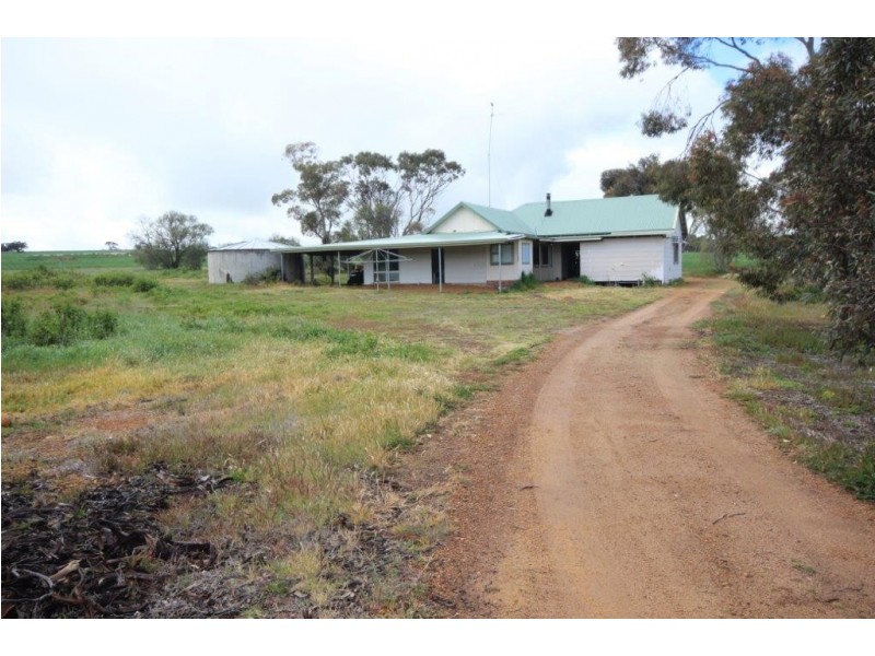 1362 Datatine Road, Nyabing WA 6341