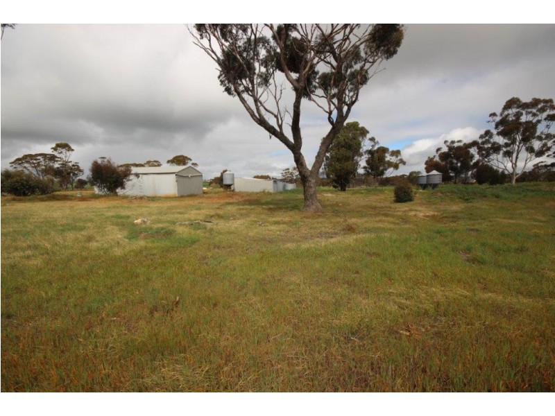 1362 Datatine Road, Nyabing WA 6341