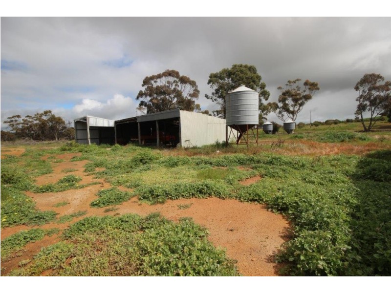 1362 Datatine Road, Nyabing WA 6341