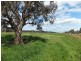 Lot 30 Homebush Road, Yarloop WA 6218