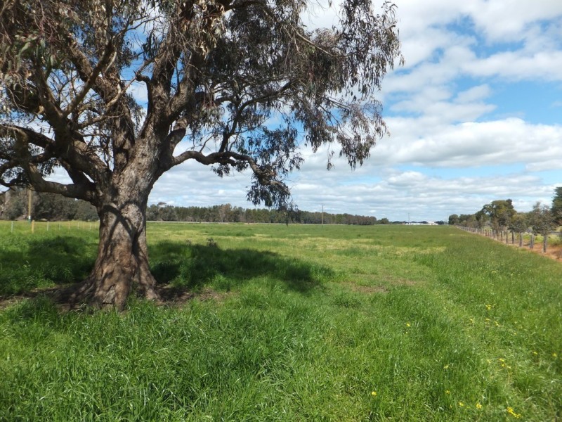 Lot 30 Homebush Road, Yarloop WA 6218