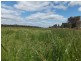 Lot 30 Homebush Road, Yarloop WA 6218