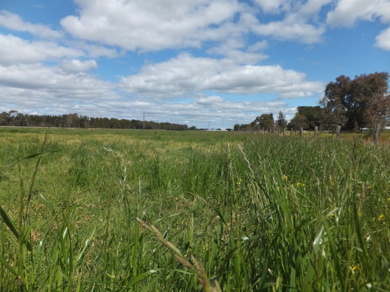 Lot 30 Homebush Road, Yarloop WA 6218