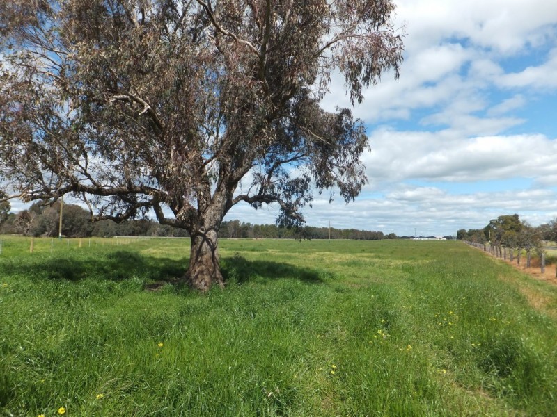 Lot 30 Homebush Road, Yarloop WA 6218