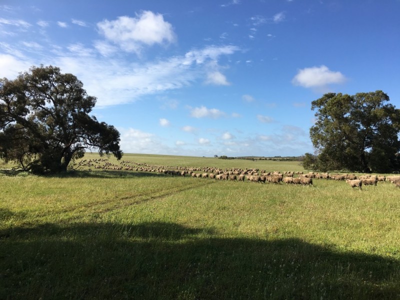 Lot 104, 105, 106 Indian Ocean Drive, Breton Bay WA 6043