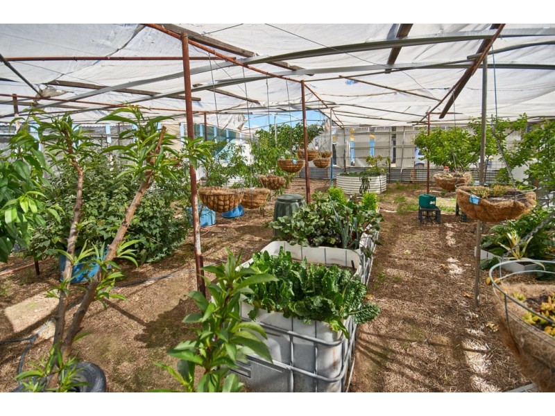 1 Borgward Street, Minnivale WA 6462