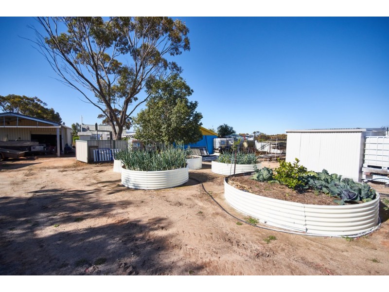 1 Borgward Street, Minnivale WA 6462