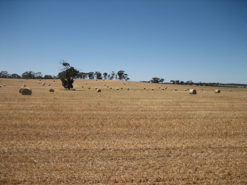 2652 Wandering-Pingelly Road, Pumphreys Bridge WA 6308