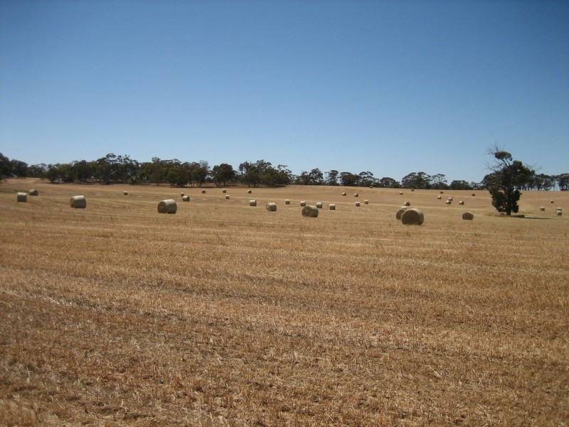 2652 Wandering-Pingelly Road, Pumphreys Bridge WA 6308