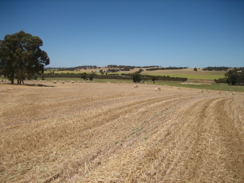 2652 Wandering-Pingelly Road, Pumphreys Bridge WA 6308