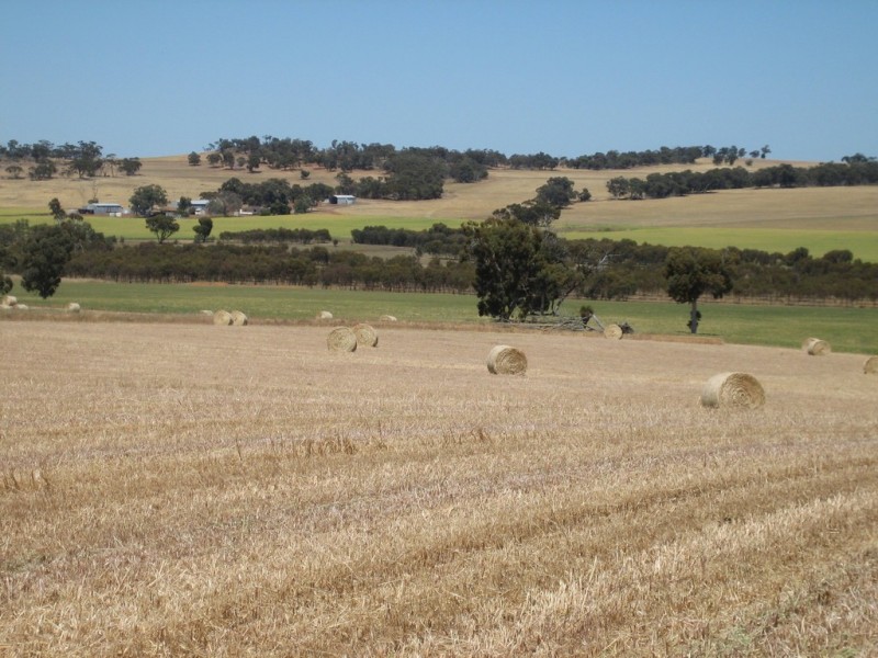 2652 Wandering-Pingelly Road, Pumphreys Bridge WA 6308