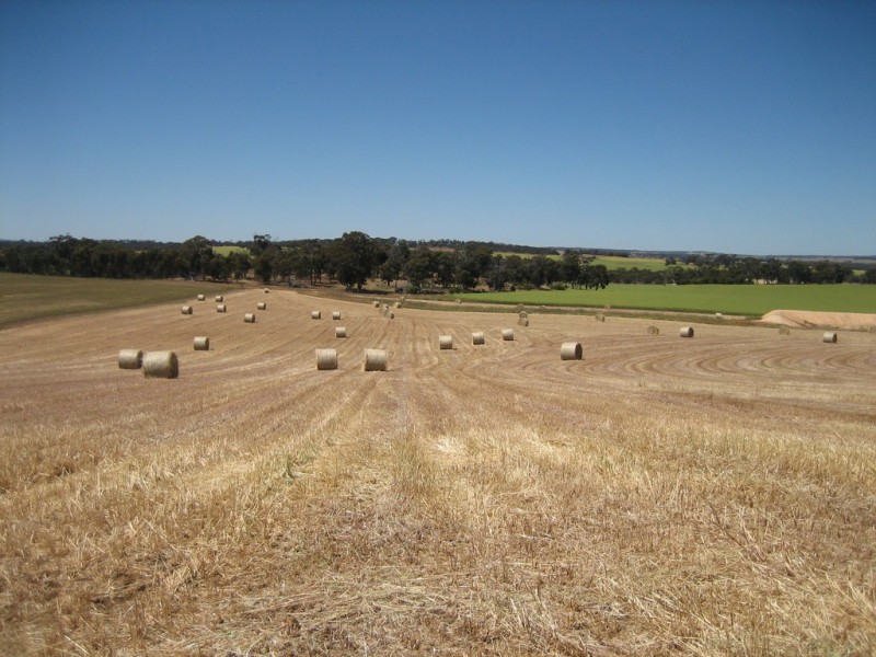 2652 Wandering-Pingelly Road, Pumphreys Bridge WA 6308