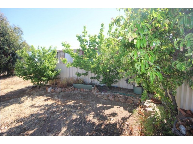 7 Campbell Court, Dumbleyung WA 6350