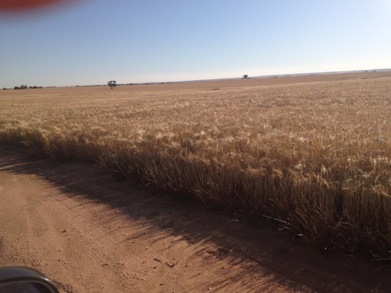 Lot 20416 Smeeton Road, North Trayning WA 6488