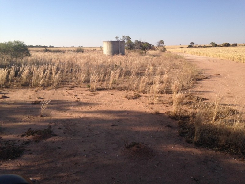 Lot 20416 Smeeton Road, North Trayning WA 6488