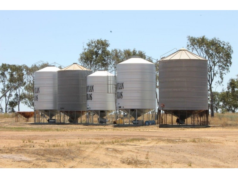 522 Telegraph Road, West Binnu WA 6532