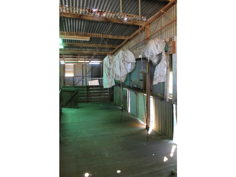 522 Telegraph Road, West Binnu WA 6532