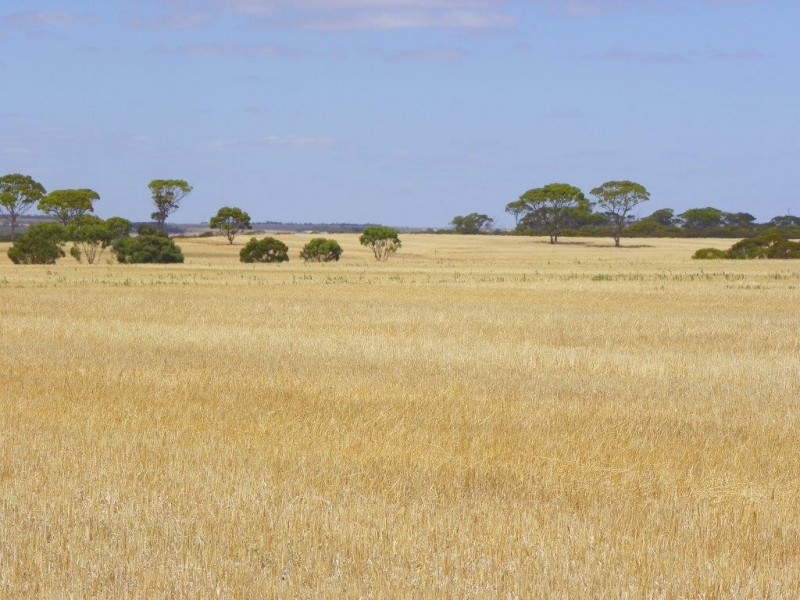 Lot 1761 Needilup Road, Pingrup WA 6343