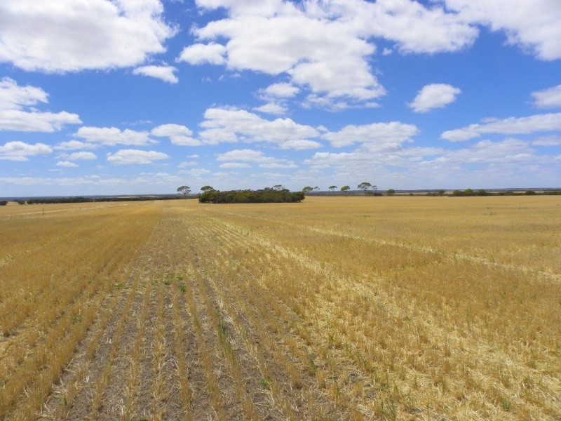 Lot 1761 Needilup Road, Pingrup WA 6343