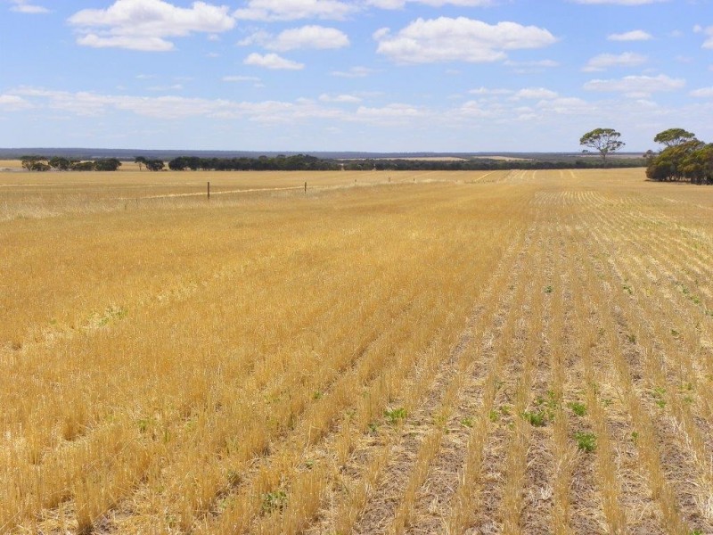 Lot 1761 Needilup Road, Pingrup WA 6343