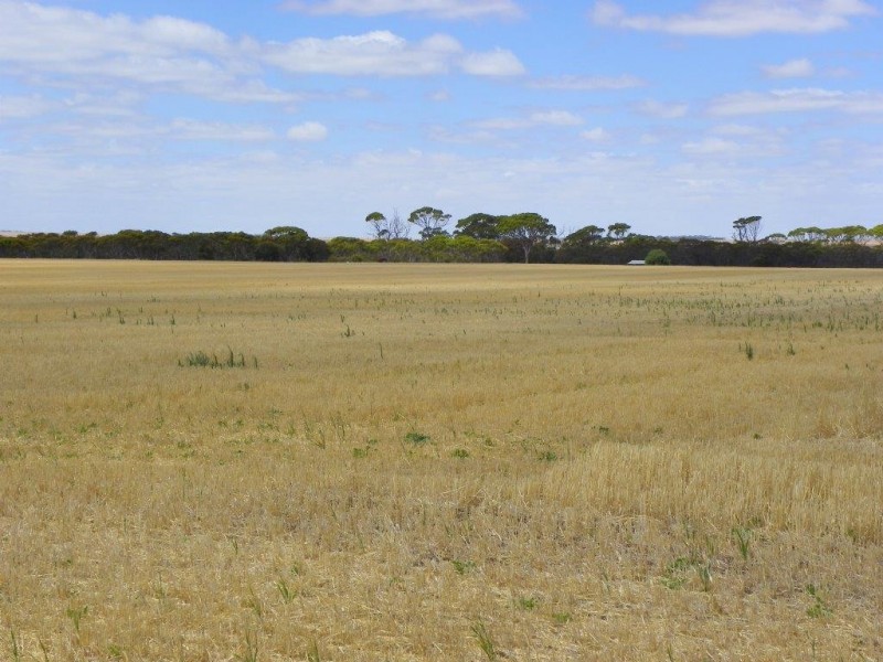 Lot 1761 Needilup Road, Pingrup WA 6343