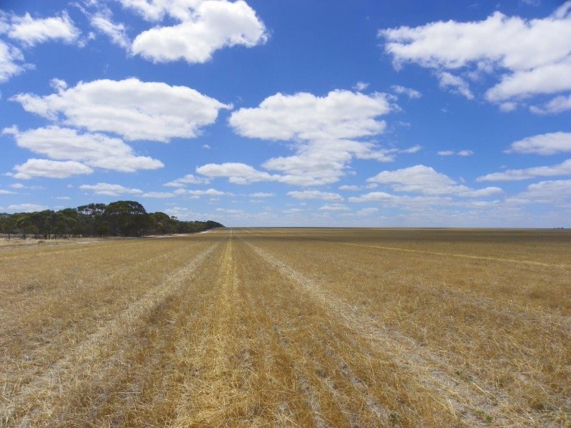 Lot 1761 Needilup Road, Pingrup WA 6343