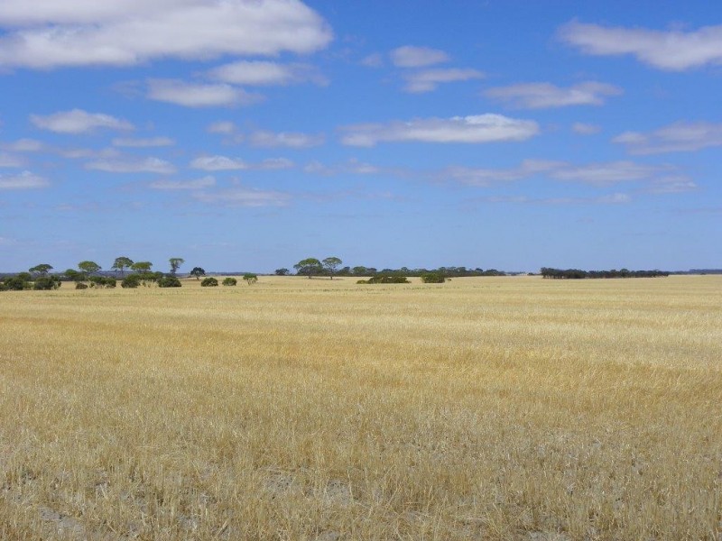 Lot 1761 Needilup Road, Pingrup WA 6343