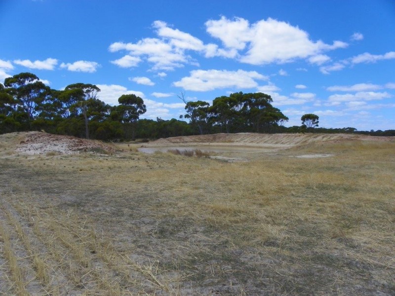 Lot 1761 Needilup Road, Pingrup WA 6343