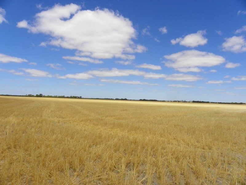 Lot 1761 Needilup Road, Pingrup WA 6343