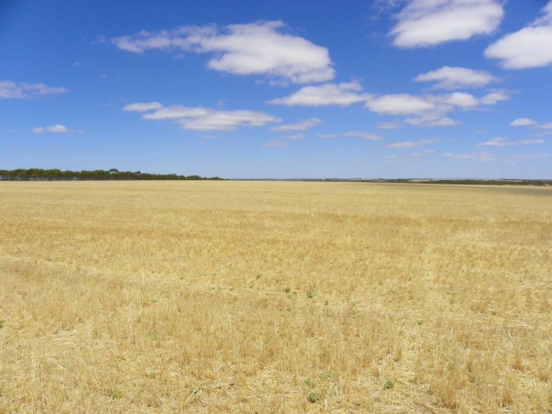 Lot 1761 Needilup Road, Pingrup WA 6343