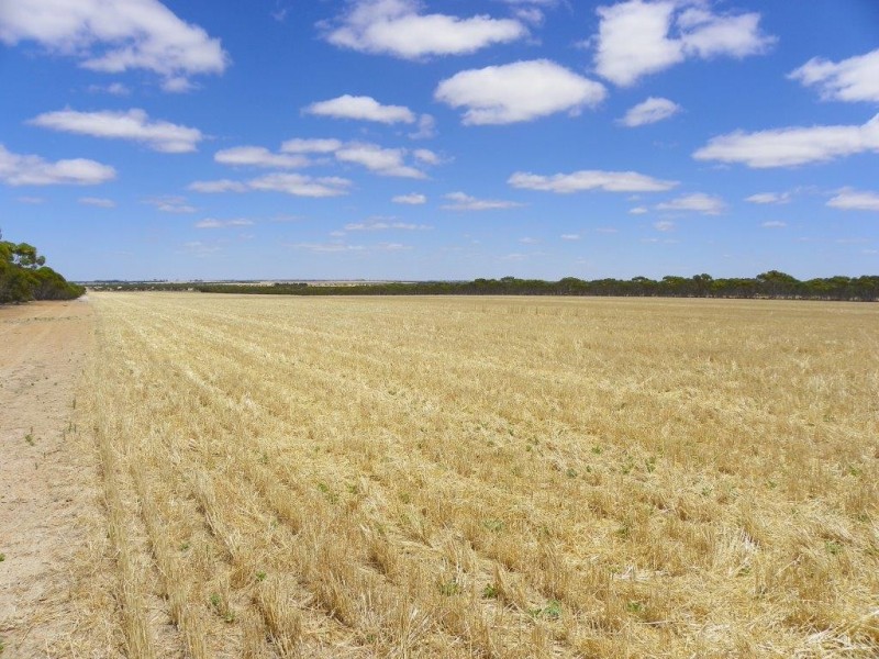 Lot 1761 Needilup Road, Pingrup WA 6343