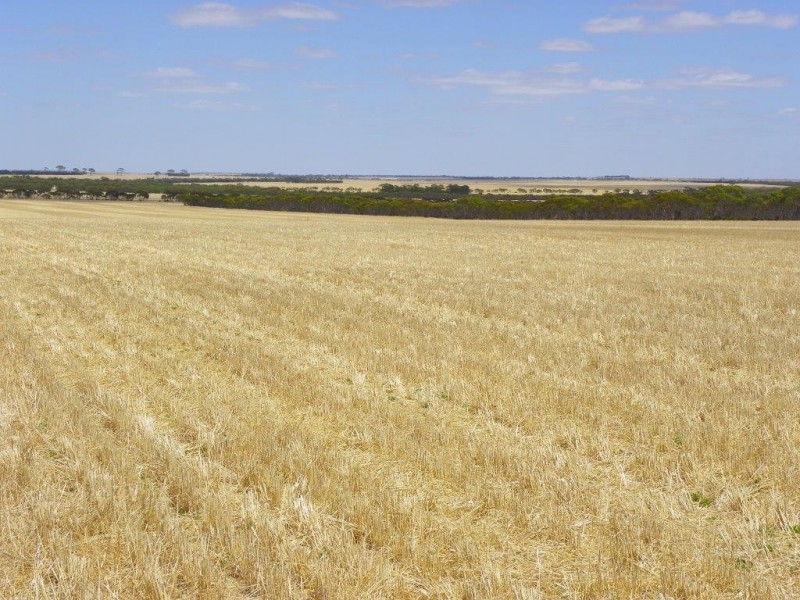 Lot 1761 Needilup Road, Pingrup WA 6343