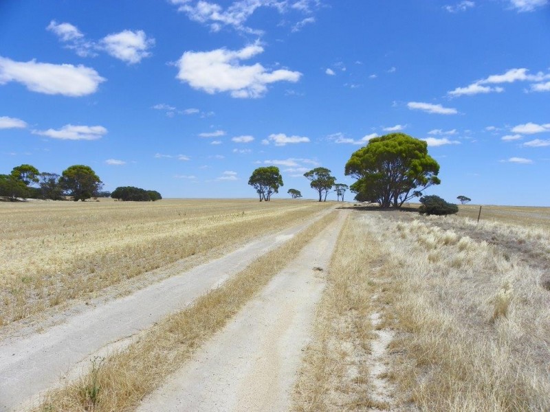Lot 1761 Needilup Road, Pingrup WA 6343