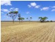 Lot 1761 Needilup Road, Pingrup WA 6343