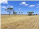 Lot 1761 Needilup Road, Pingrup WA 6343