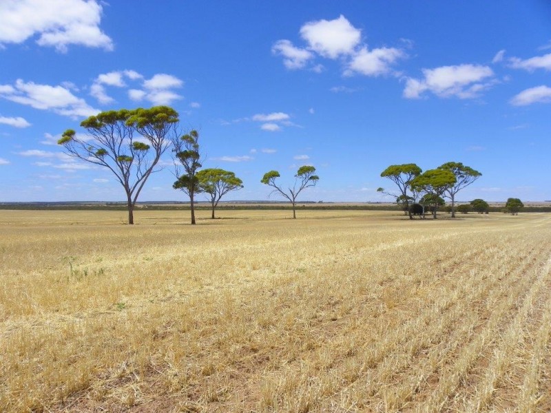 Lot 1761 Needilup Road, Pingrup WA 6343