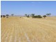 Lot 1761 Needilup Road, Pingrup WA 6343
