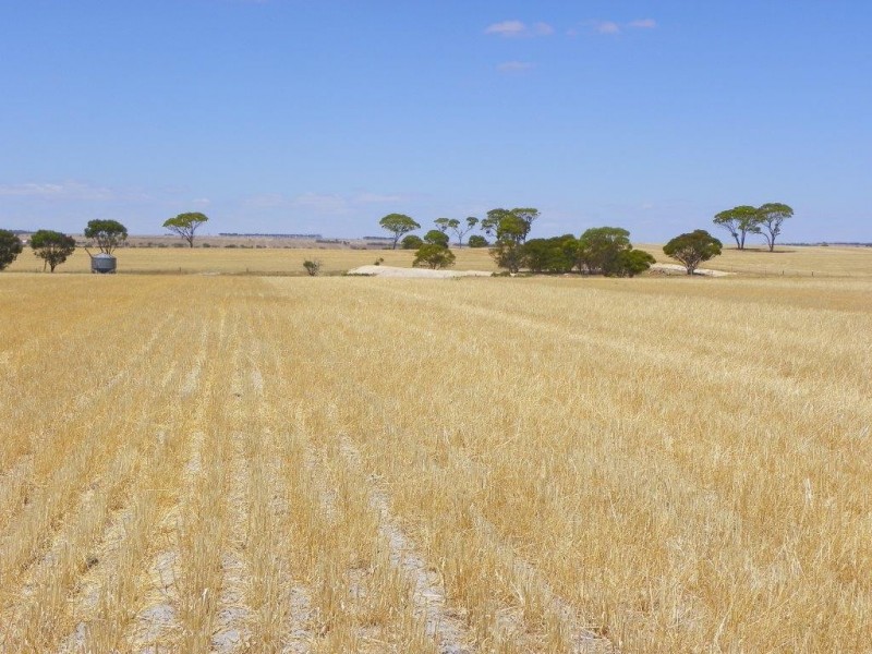 Lot 1761 Needilup Road, Pingrup WA 6343