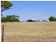 Lot 1761 Needilup Road, Pingrup WA 6343