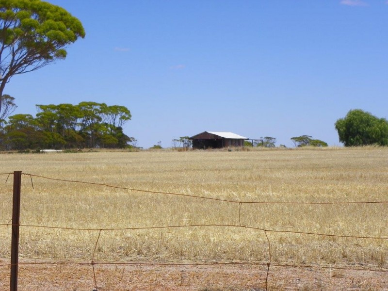 Lot 1761 Needilup Road, Pingrup WA 6343