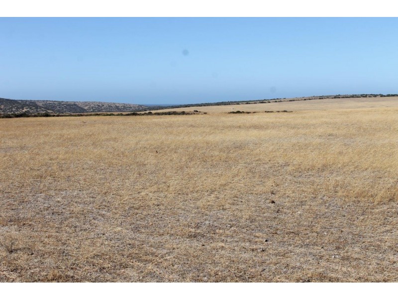 Lot 25 Willigulli Road, Sandy Gully WA 6535