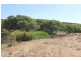 Lot 25 Willigulli Road, Sandy Gully WA 6535
