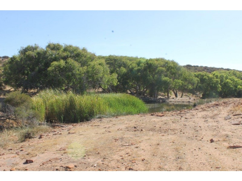 Lot 25 Willigulli Road, Sandy Gully WA 6535