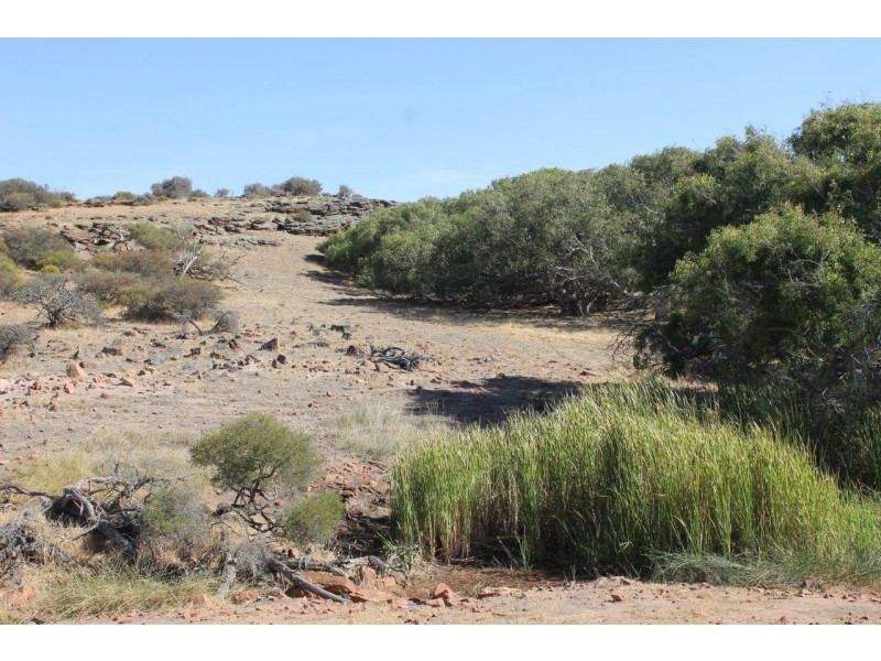 Lot 25 Willigulli Road, Sandy Gully WA 6535